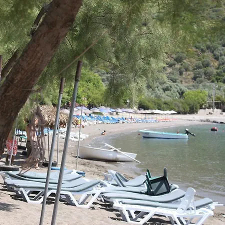 Elly's * Mesudiye