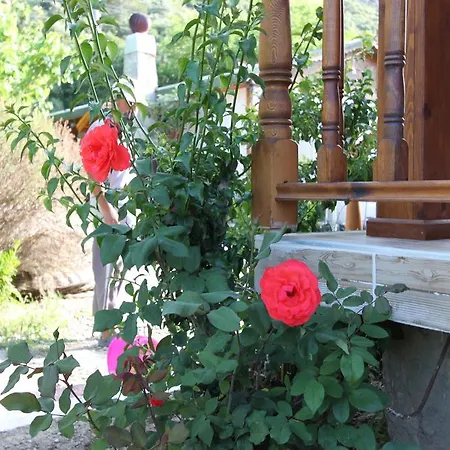 Ubytování v soukromí Elly's Mesudiye (Datca)