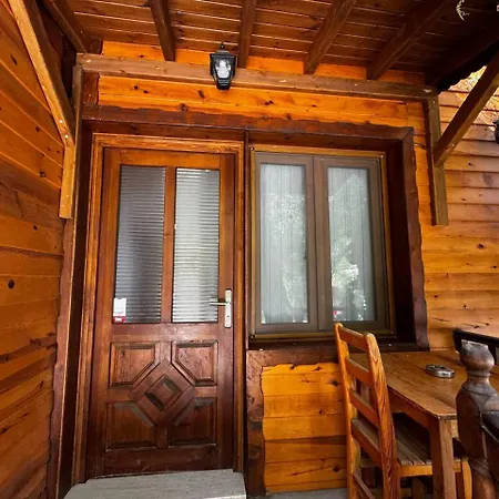 Проживание в семье Elly's