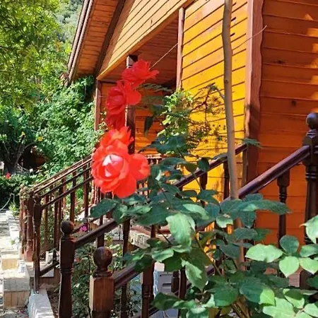 Elly's Mesudiye (Datca)
