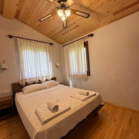 Elly's ميسوديه