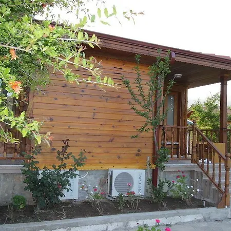 Elly's * ميسوديه