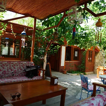 Elly's ميسوديه