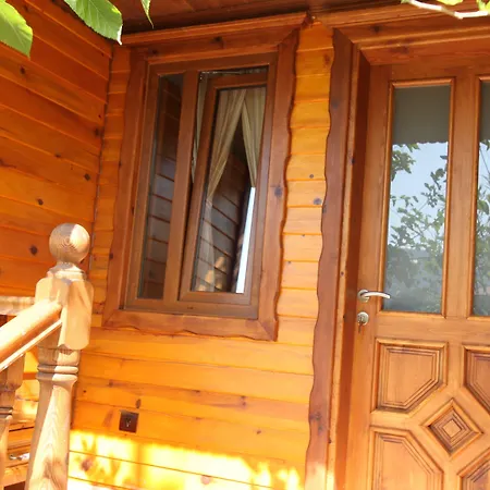 Elly's Проживание в семье *