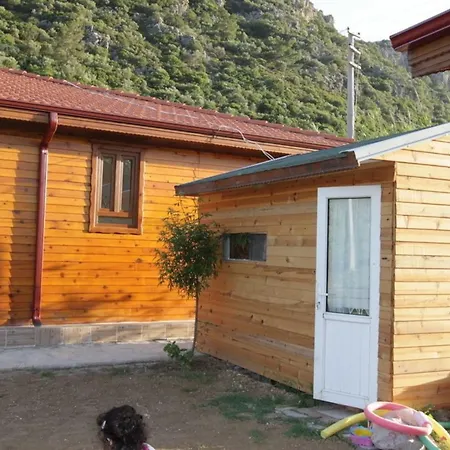 Elly's * ميسوديه