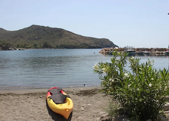 Проживание в семье Elly's *