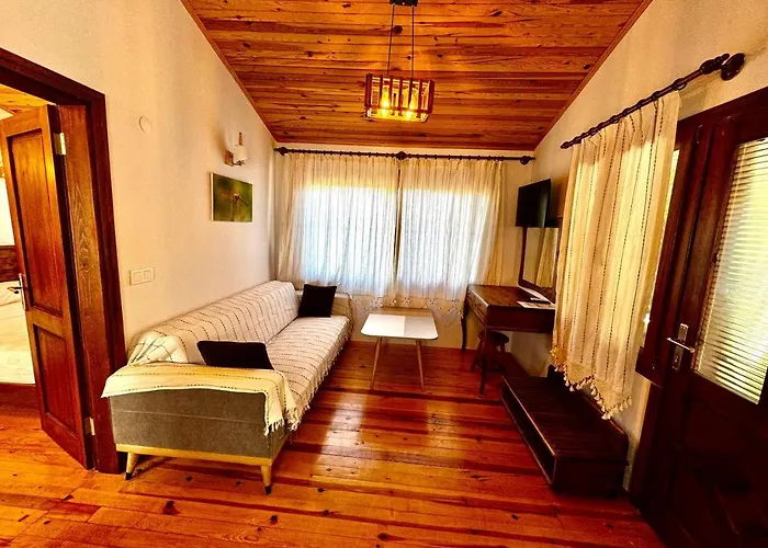 Elly's * Месудие