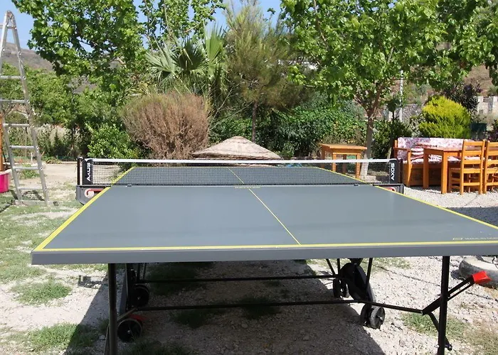 Elly's Проживание в семье *