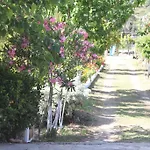 Elly's * ميسوديه