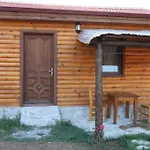 Проживание в семье Elly's