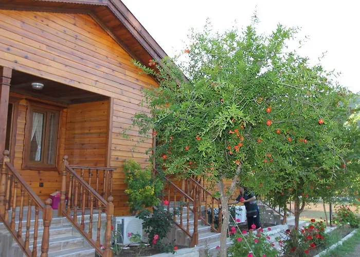 Elly's Homestay szállás Mesudiye