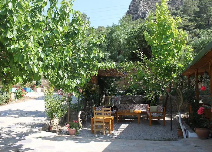 Homestay szállás Elly's *